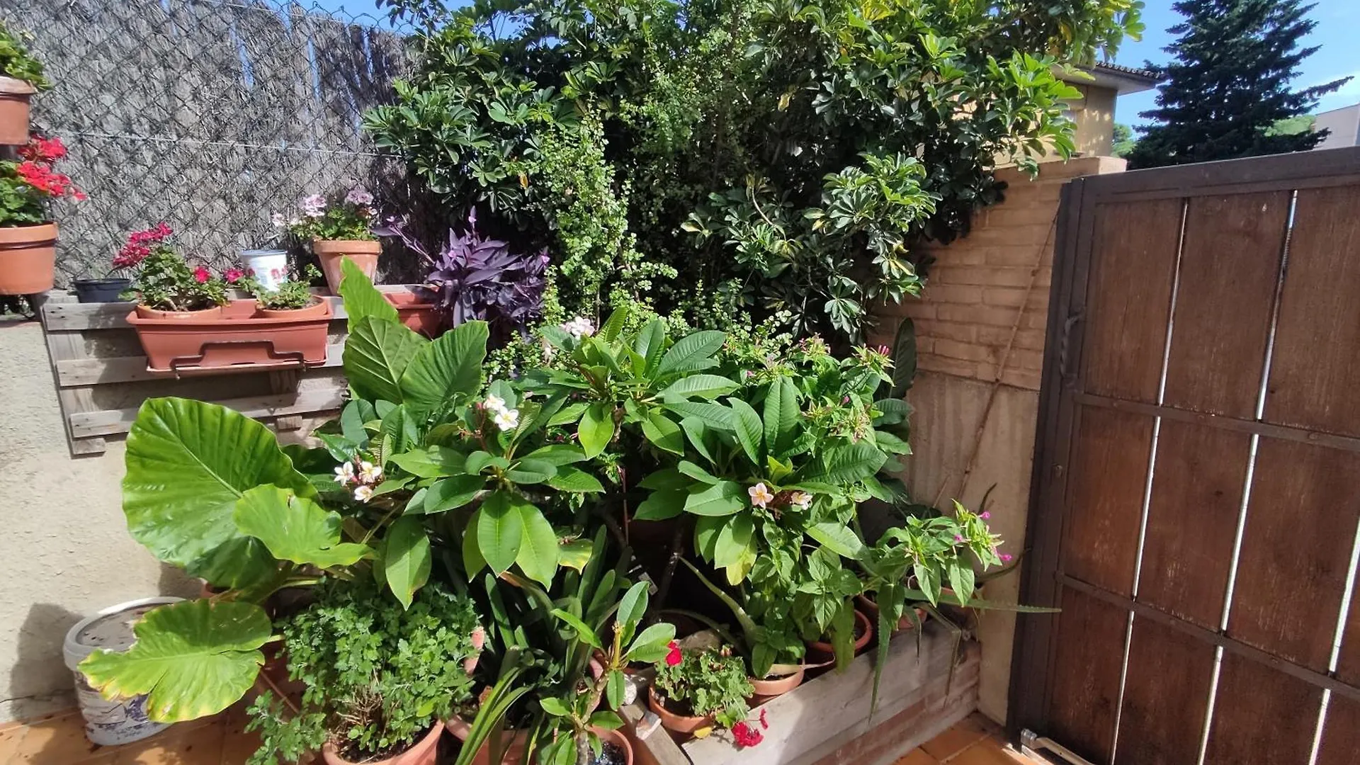 Appartamento Rustic Amb Piscina Privada L' Escala